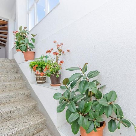 Apartments Zora สตารีกราด-ปาเคลนีซา ภายนอก รูปภาพ