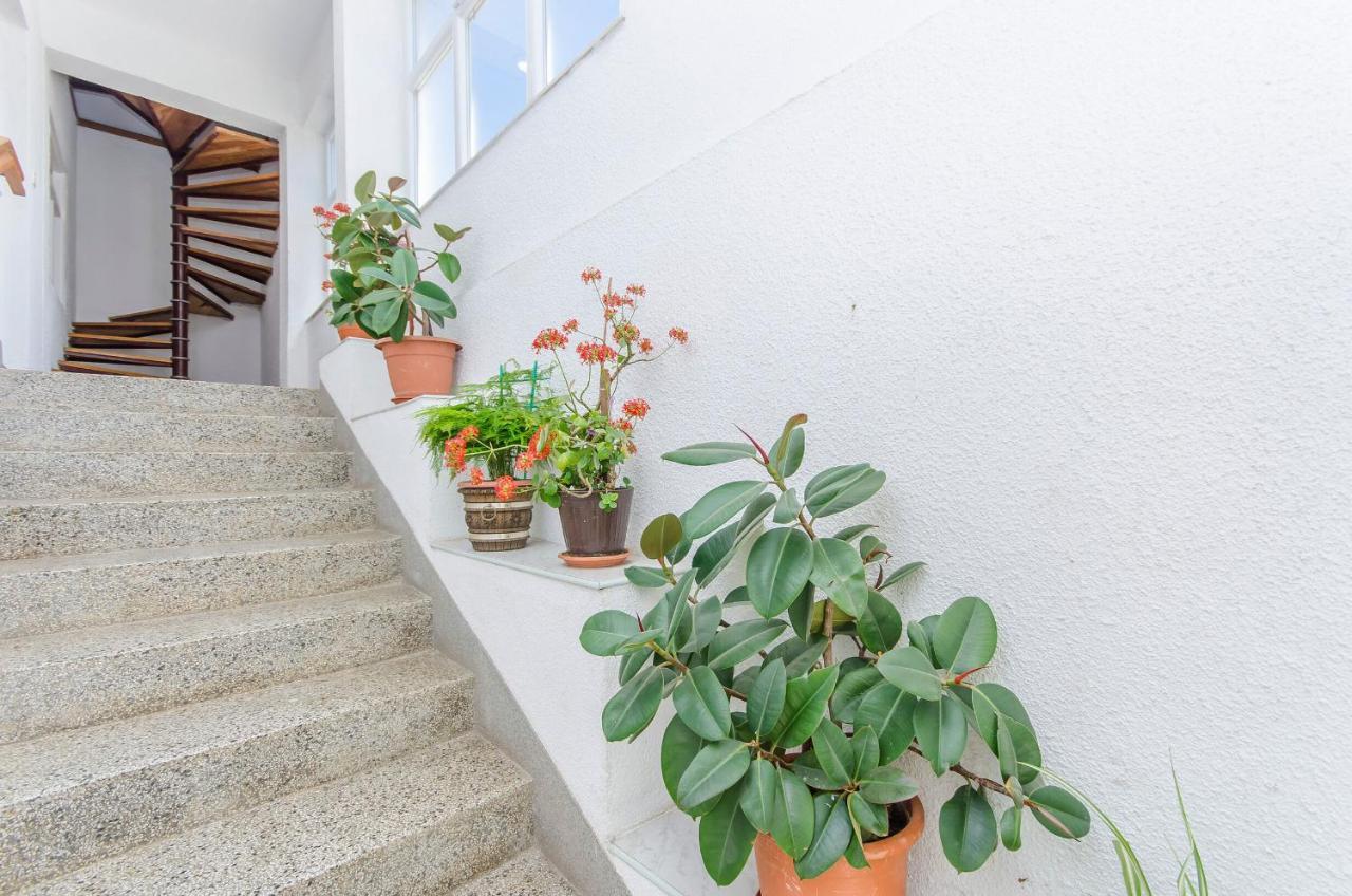 Apartments Zora สตารีกราด-ปาเคลนีซา ภายนอก รูปภาพ